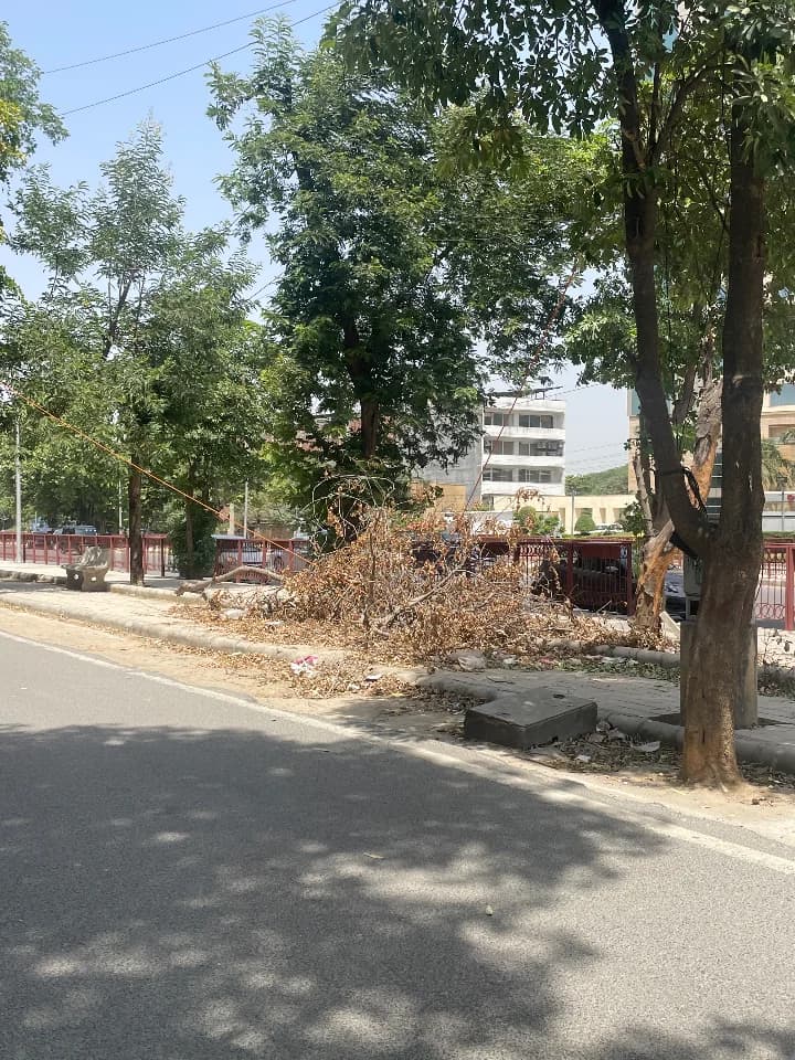 garbage dump in DLF Phase IV