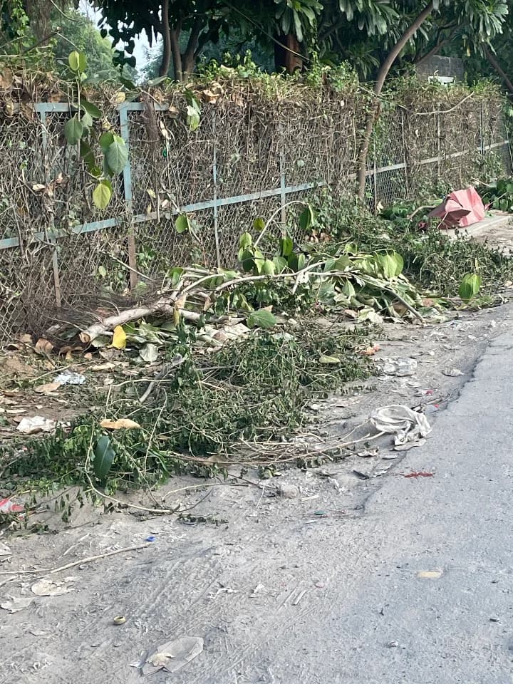 illegal dumping in Block D
