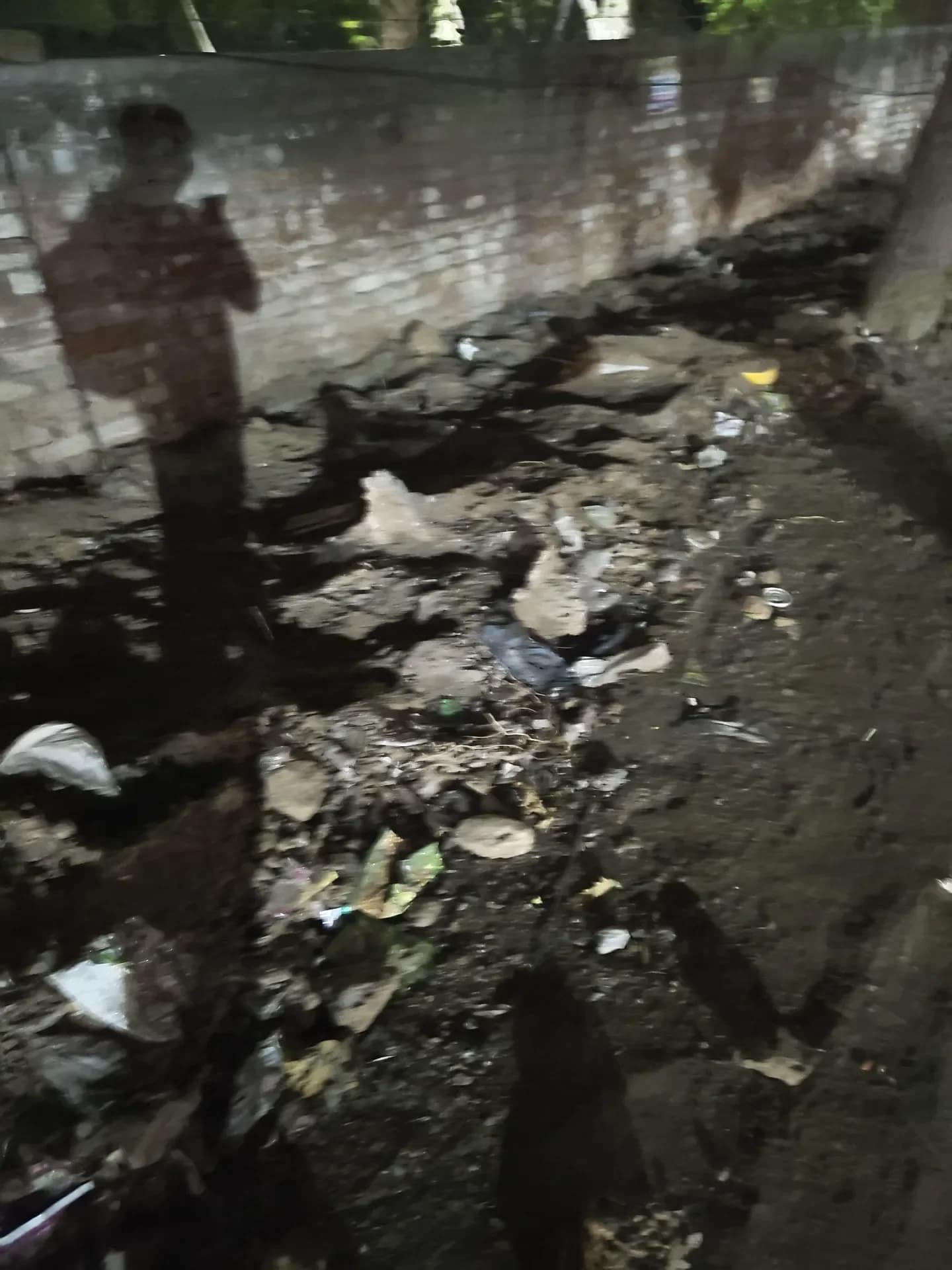 illegal dumping in Greenwood City